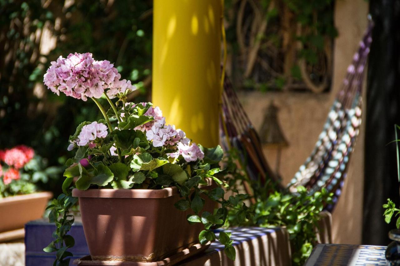 Riad Tama & Spa Ouarzazate Exterior photo
